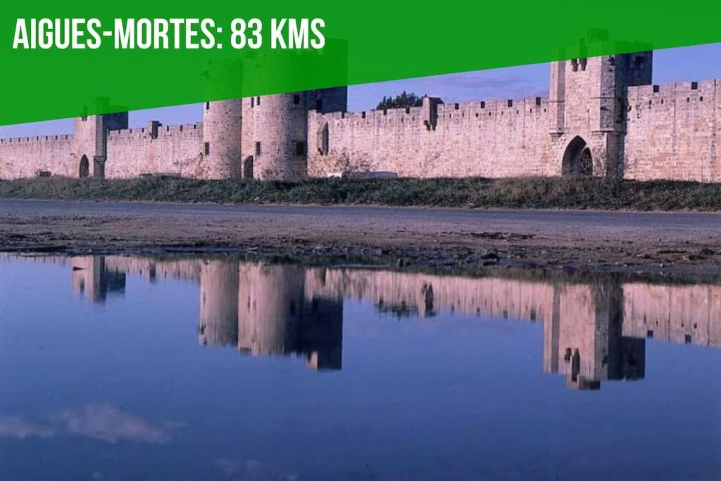 Apartment La Bulle - Parking Gratuit En Souterrain - 2 Mins Du Palais Des Papes - Clim Ac - Wifi